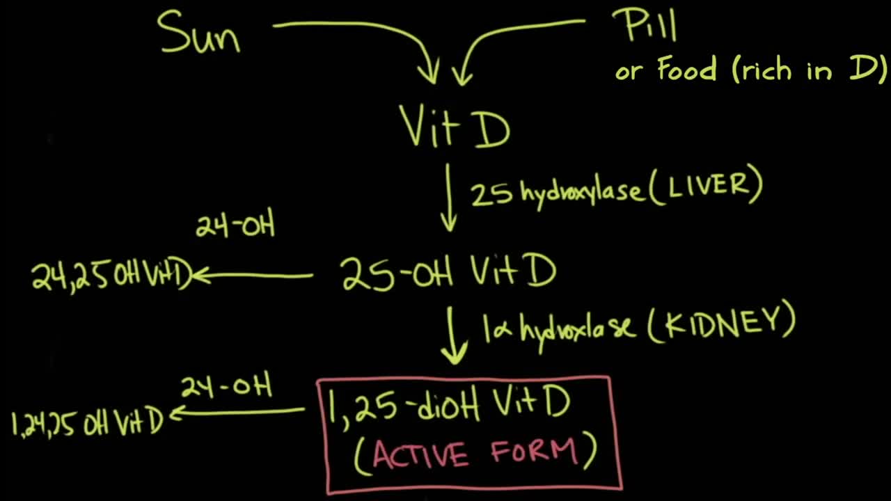 Coronavirus Pandemic Update - High Fructose, Vitamin D, & Oxidative Stress in COVID-19