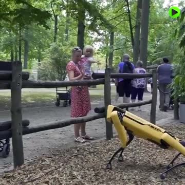 "Normalising" Boston Dynamics Robots