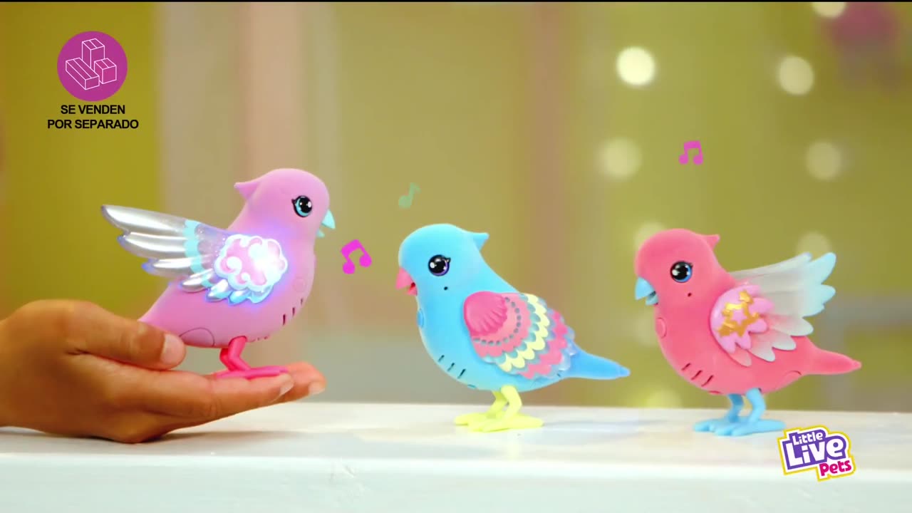 Boing (Spain) - Continuity (20th April 2024)