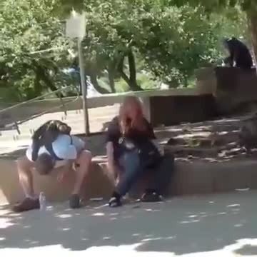 DROGHE LEGALI PER UNA SOCIETA' DI ZOMBIE