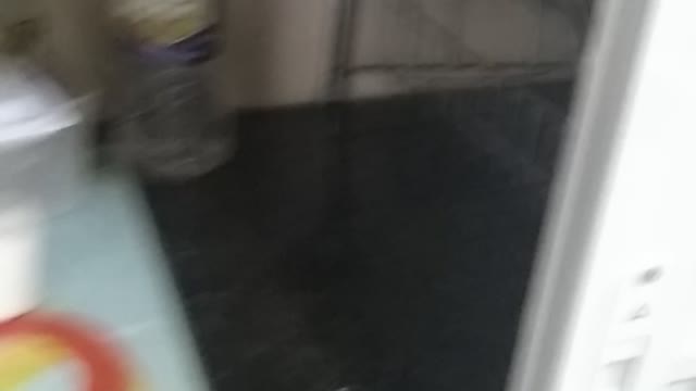 PORTINHOLA PARA PIA