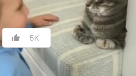 Whisker Wonderland: Cats and Confetti" 😸🎊