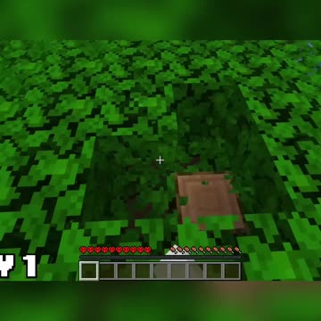 Surviving the Jungle: Building Shelter, Finding Food, and Starting a New Life in Minecraft