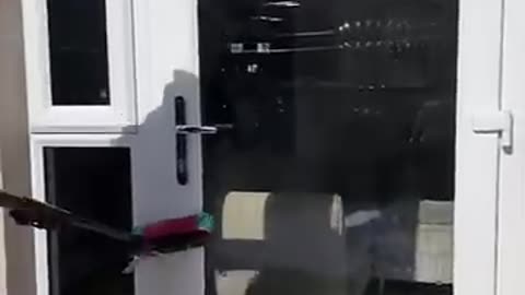 FUNNY VIDEOS 4 ALL