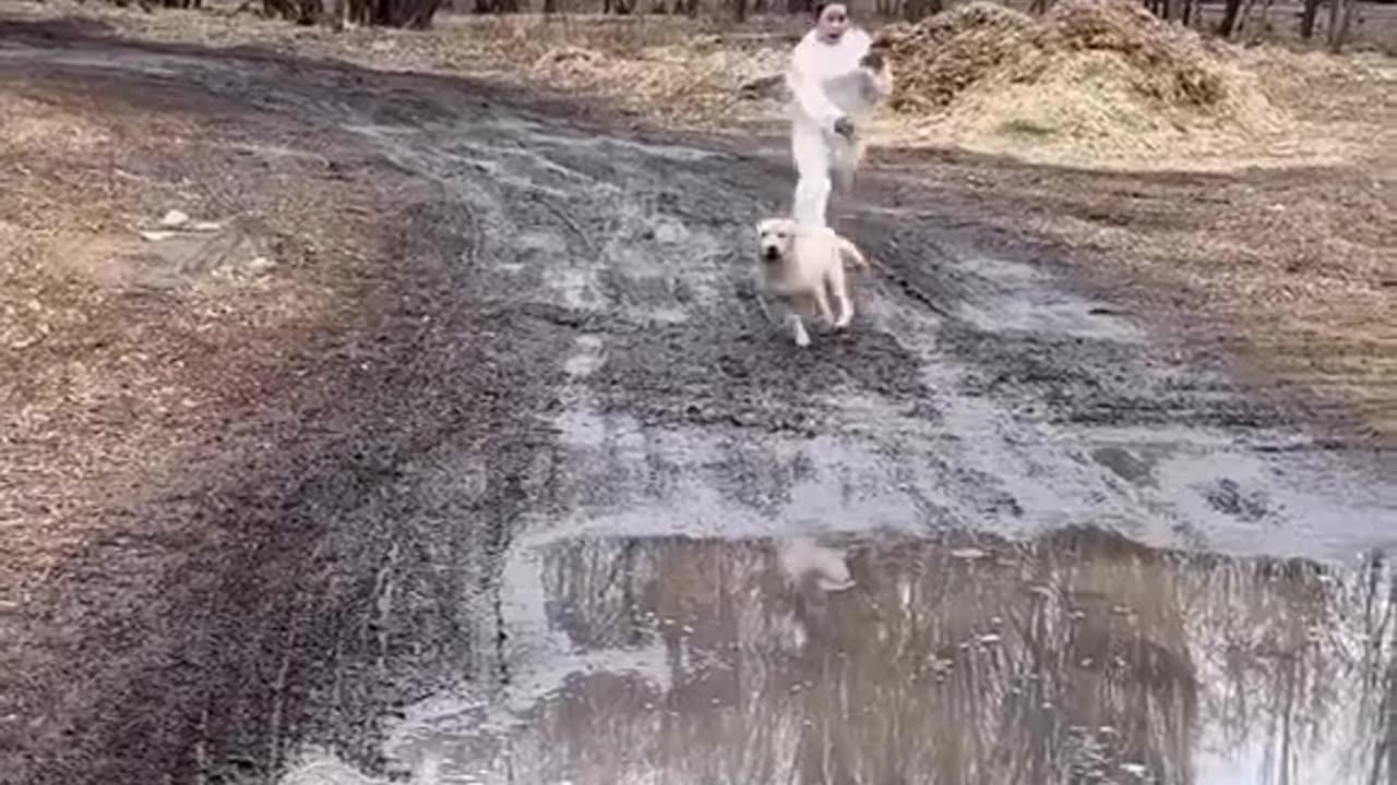 Funny animals