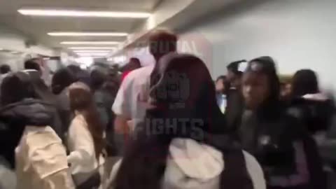 School fight stamps on Student leader