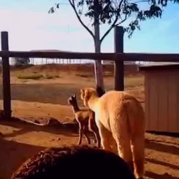 Google likes my pictures and videos