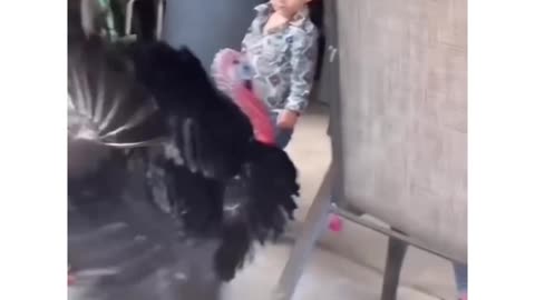 He wasn't messing around