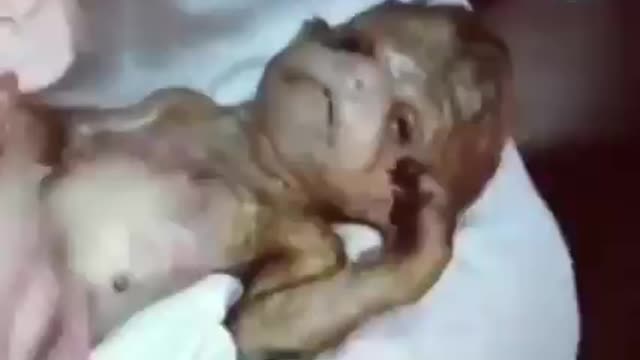 ΑΝΘΡΩΠΟΕΙΔΗ ΑΠΟ ΠΕΙΡΑΜΑΤΑ !! ΜΕΣΑ ΑΠΟ ΤΟΥΝΕΛ