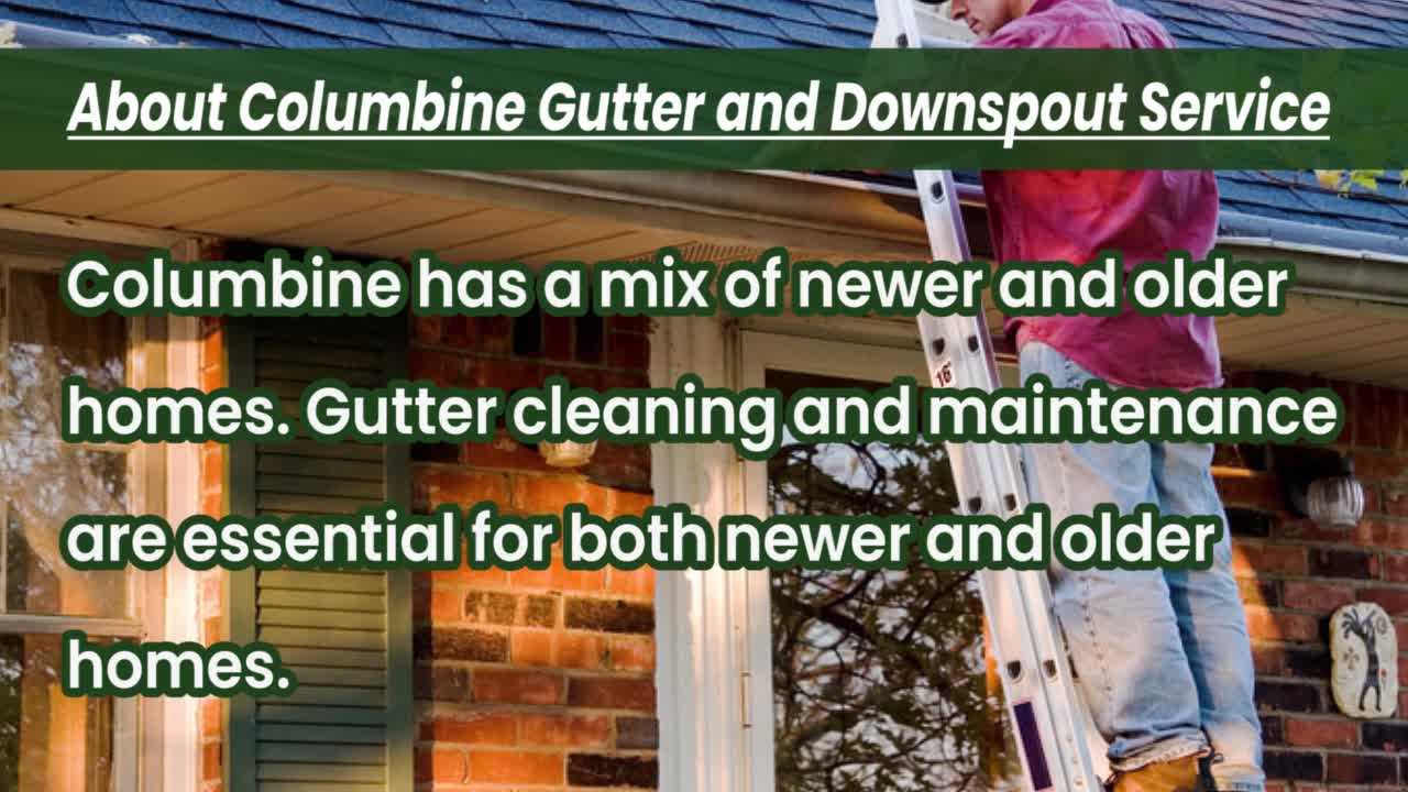 Columbine Gutter Service