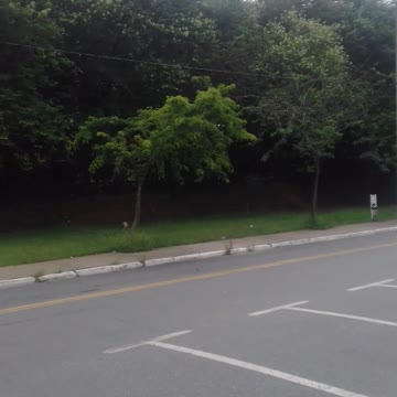 o trem chegando maria fumaca