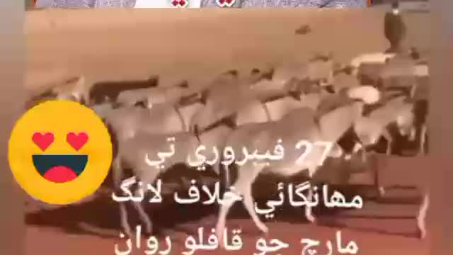 ppp long march