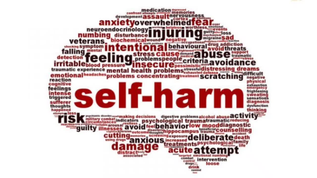 Ep. 73 Self Harm & Society | The Nunn Report