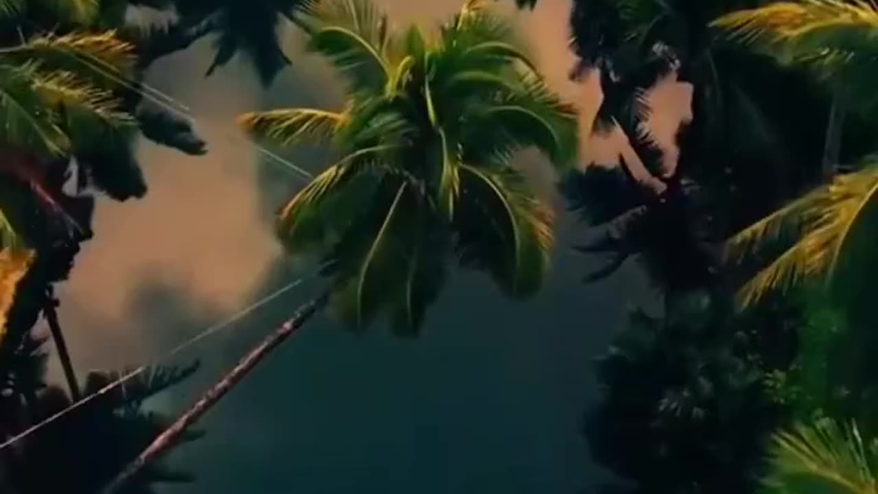 Explore the nature beautiful