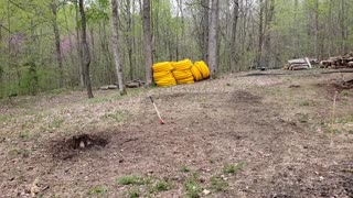 Short Update - Things are Going Slow