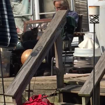 My dad and he’s cat