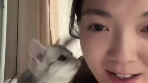 Cat kiss me