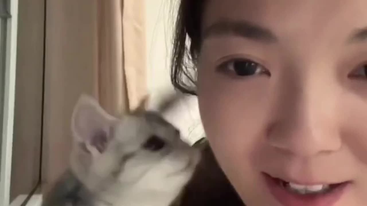 Cat kiss me