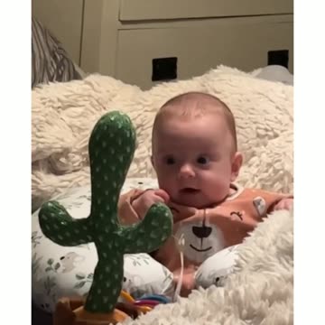 Dancing Cactus Chorus