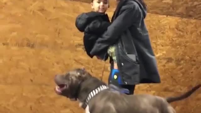 This pitbull is trained to protect this baby at all costs 😳😳…