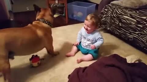 Baby boy laugh with his dog