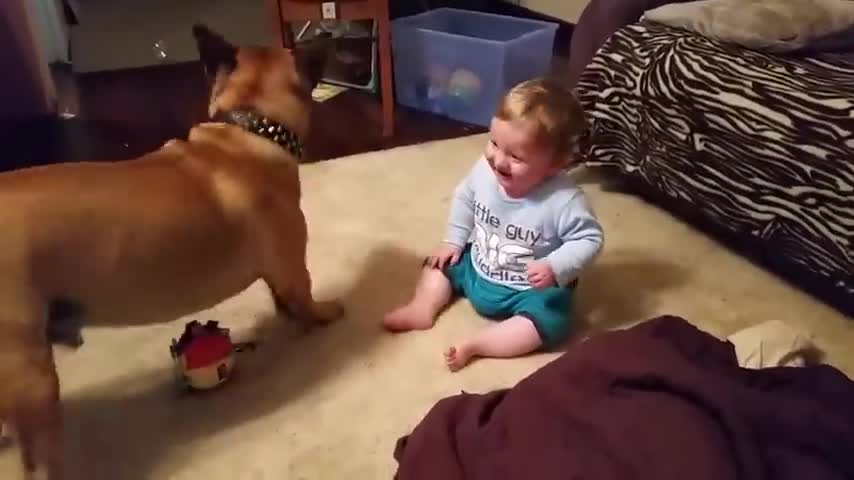 Baby boy laugh with his dog