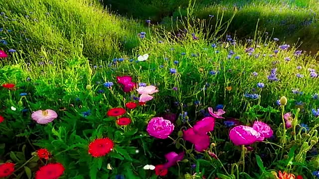 {EP4}Beautiful scenery video. Welcome everyone to watch