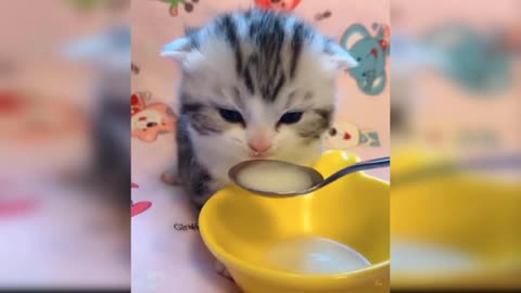 Cute❤️..beautiful..😘