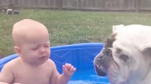 Dogs are the best friend of Babies 36