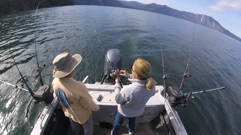 Fishing Deb vs Bald Eagle