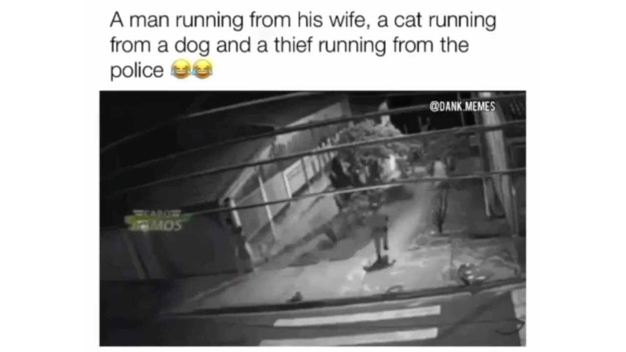 A man running from his wife, a cat running from a dog and a thief running from the police!