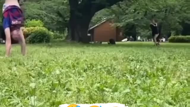 Funny video