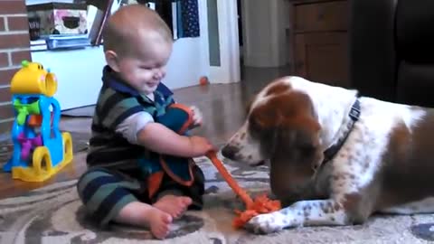 Baby play with dog.