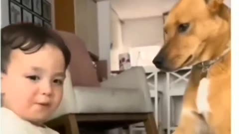Funny video For kids 😂