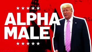 ALPHA MALE!!!😎😎😎