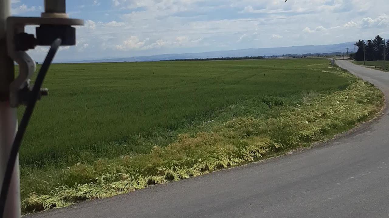 Watch For It.