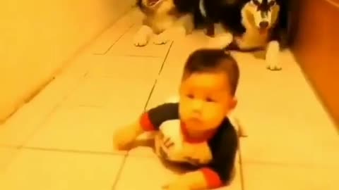 🤣 Awesome Funny Pet Animals Life Videos 😇