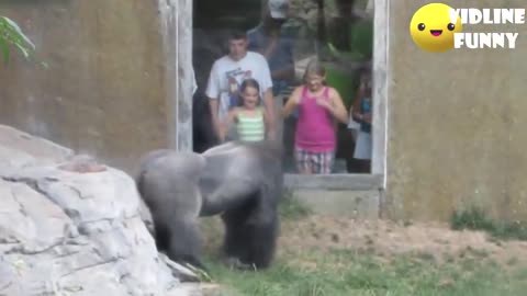 Funniest fails in the zoo! 2021 (95% FAIL)