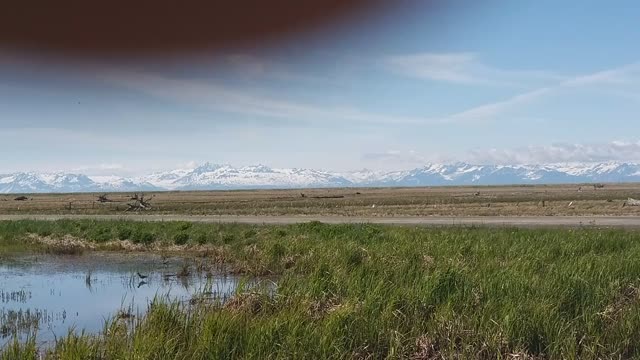 Alaska Morning Nature View