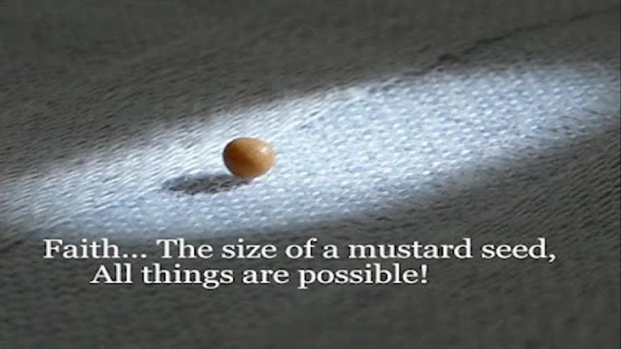 Mustard seed faith