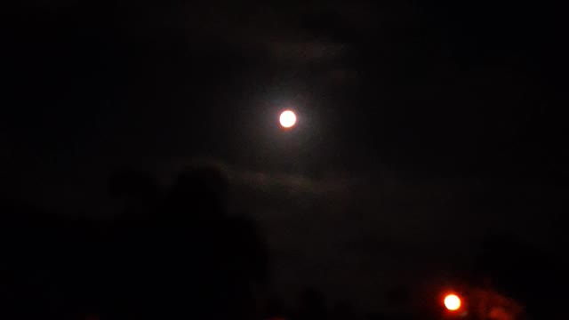 Full Moon - Luna Llena 2