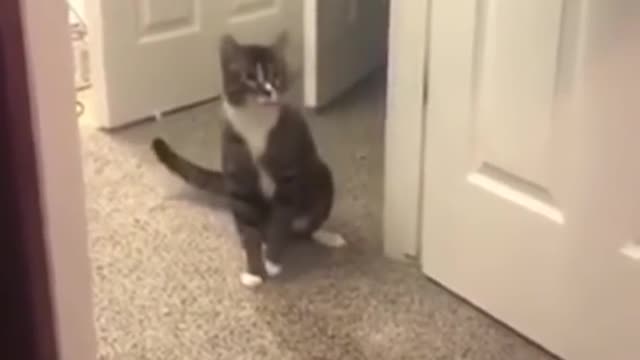 try not to laugh