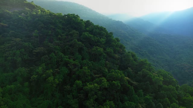 Free Footage - Light Rays Over Green Hillside