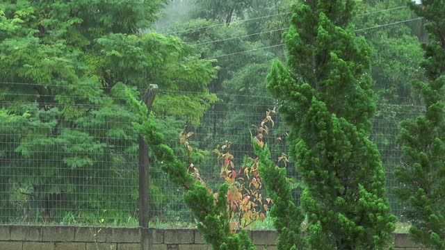 SOOTHING RAIN SOUNDS FOR SLEEP ۞ MEDITATION - BINAURAL BEATS
