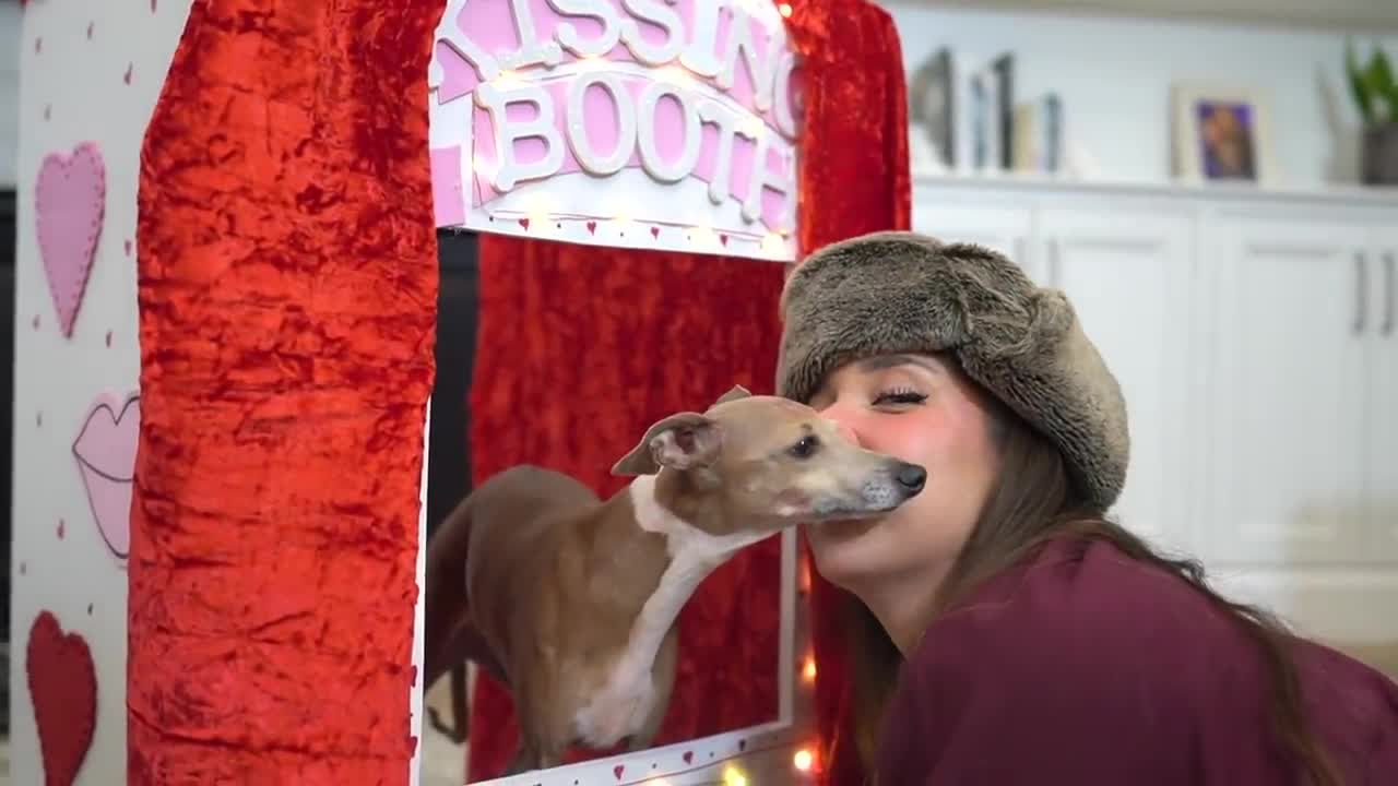 My dogs kissing booth!