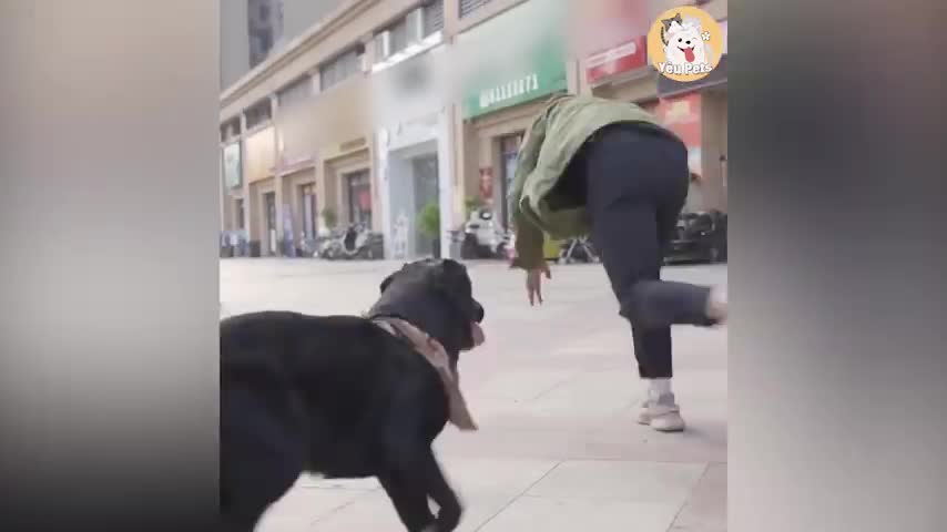 The Smartest Dog | Don't Worry, I Will Save You 😍 - Part 1