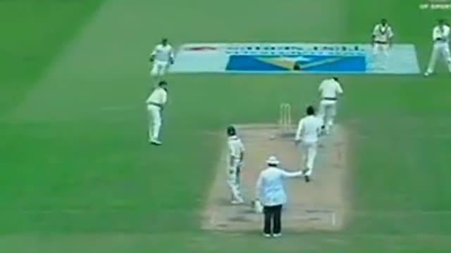 fans-video cricket lovers-video #cricket #cricketlover