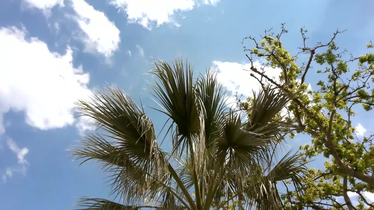 Красивый греческий пейзаж, Пелопоннес, Нафплион...Beautiful Greek landscape, Nafplion, Peloponnes