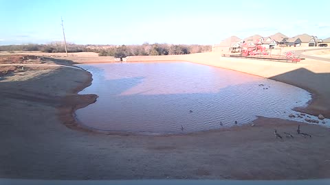 The Pond 12/28 evening