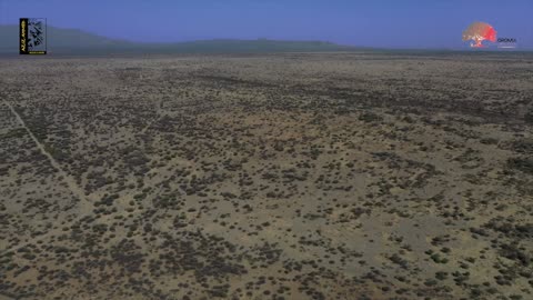 Awash National Park Ethiopia